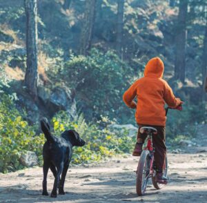 Boy riding his bike with dog
