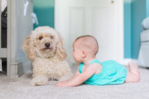 Baby with small dog