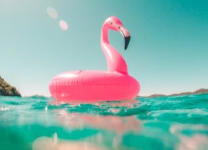 pink flamingo floatie